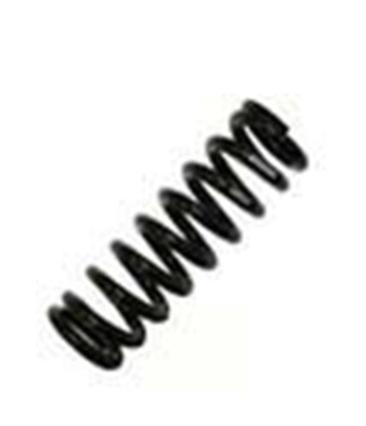 Refacción R 086982 Plunger spring / Resorte del émbolo